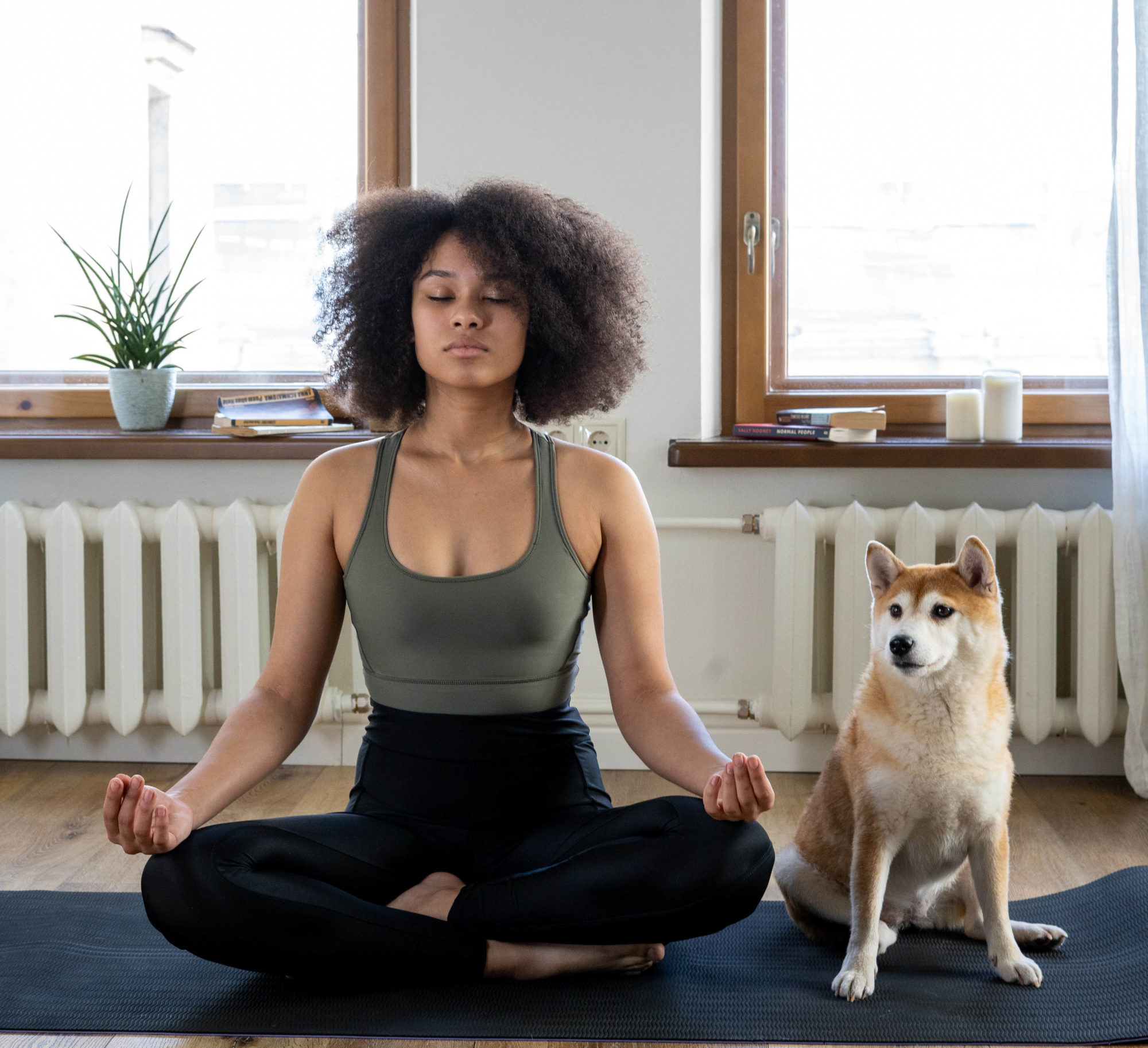 meditation for selfcare, with a dog 